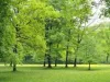 a188_sens_paes_thumbnail