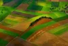 d576_dist_allevamenti_thumbnail